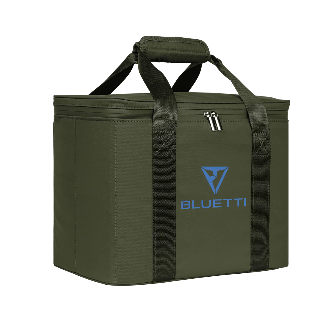 Carrying Case Bag